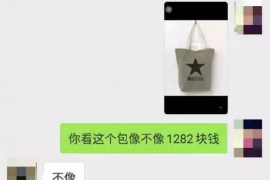 巨鹿企业清欠服务